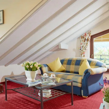 Ringhotel Boemers Mosel Hotel 3*