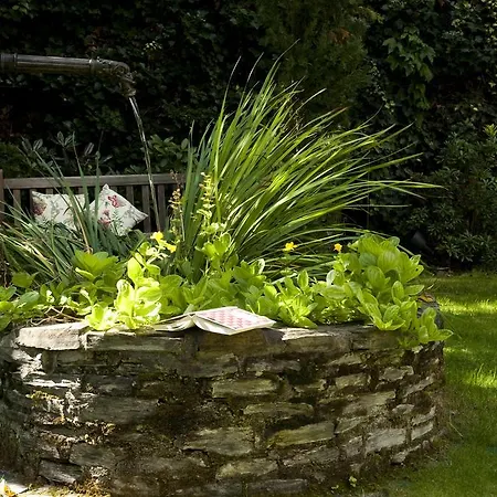 Ringhotel Boemers Mosel 3* Alf