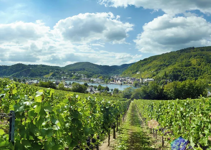 Hotel Ringhotel Boemers Mosel