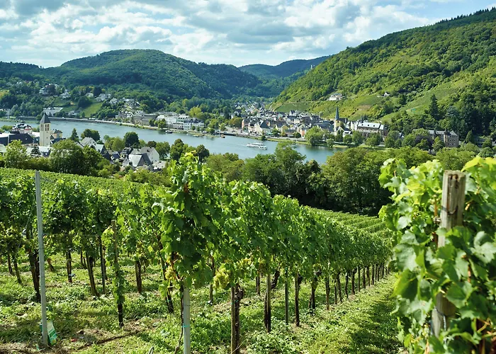 Hotel Ringhotel Boemers Mosel