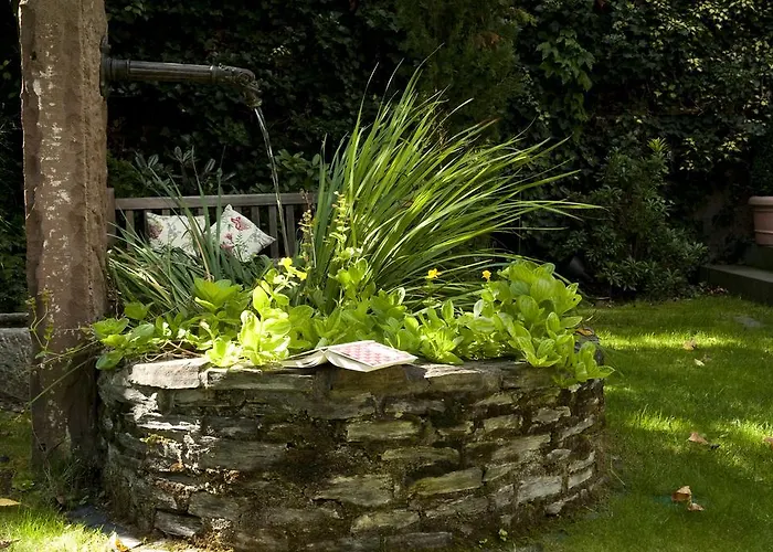 Ringhotel Boemers Mosel 3* Alf